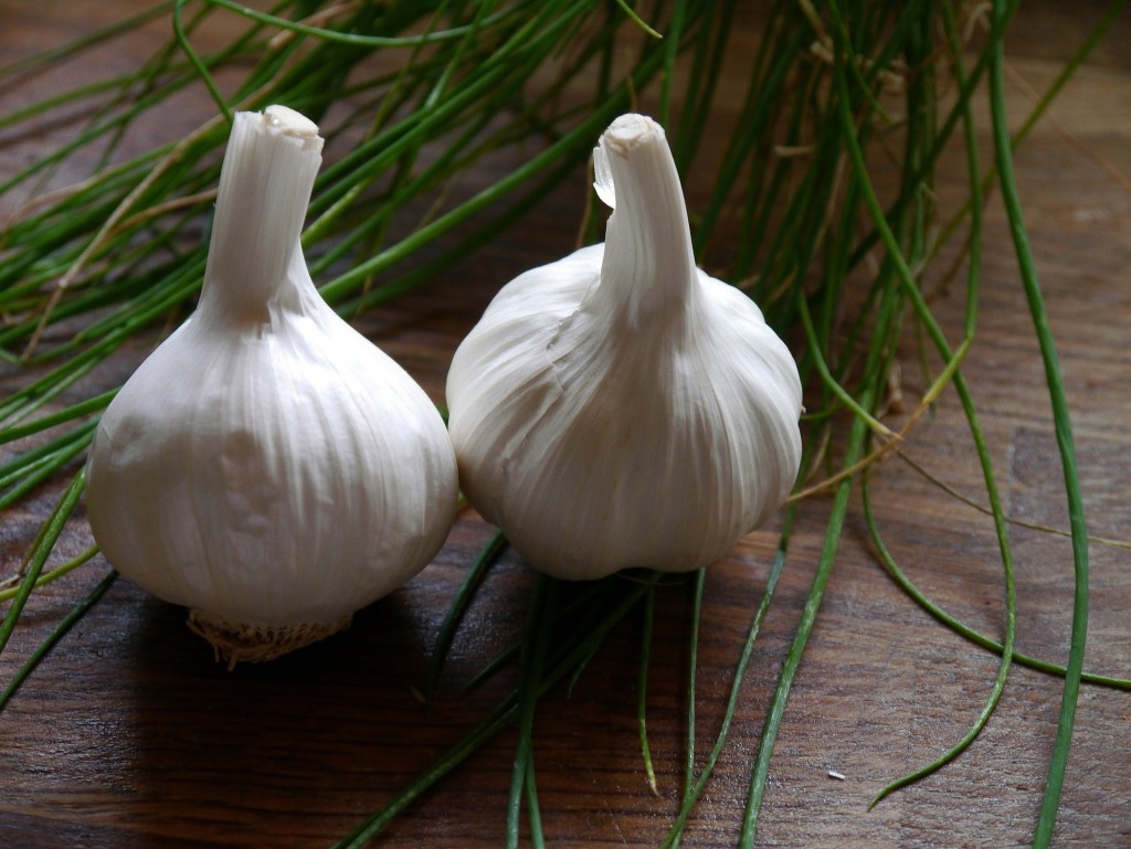 garlic-498634_1920