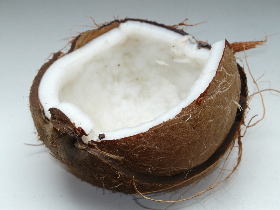 coconut-60395_960_720