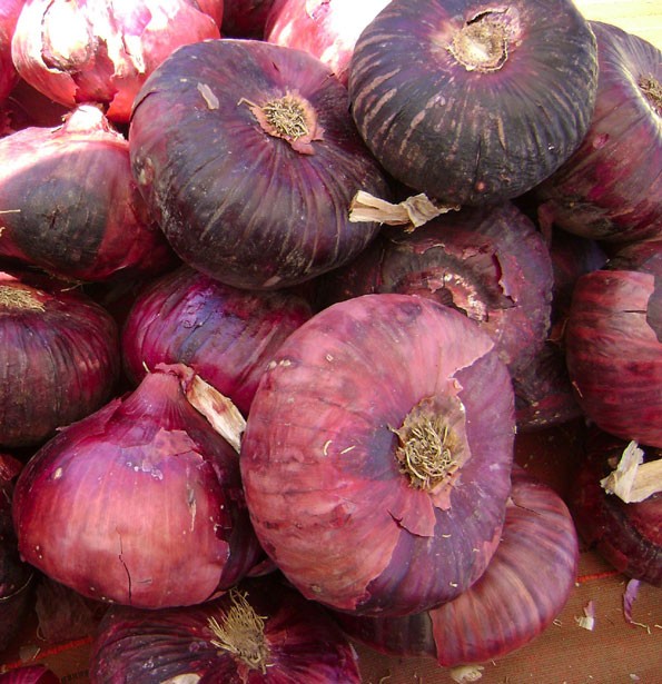 red-onions-4-23841282339390Z1Bp