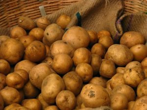 India_-_Koyambedu_Market_-_Potatoes_01_(3987050638)
