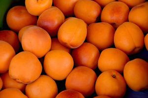 apricots-1509634_960_720
