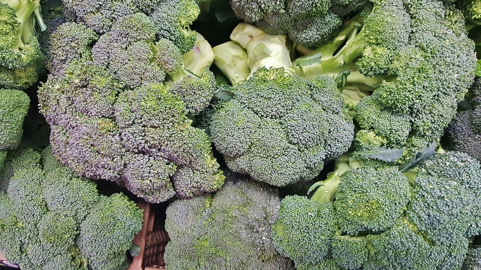 broccoli-1429150_960_720-1