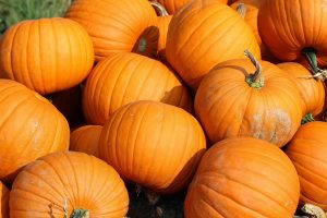 pumpkins-457716_960_720