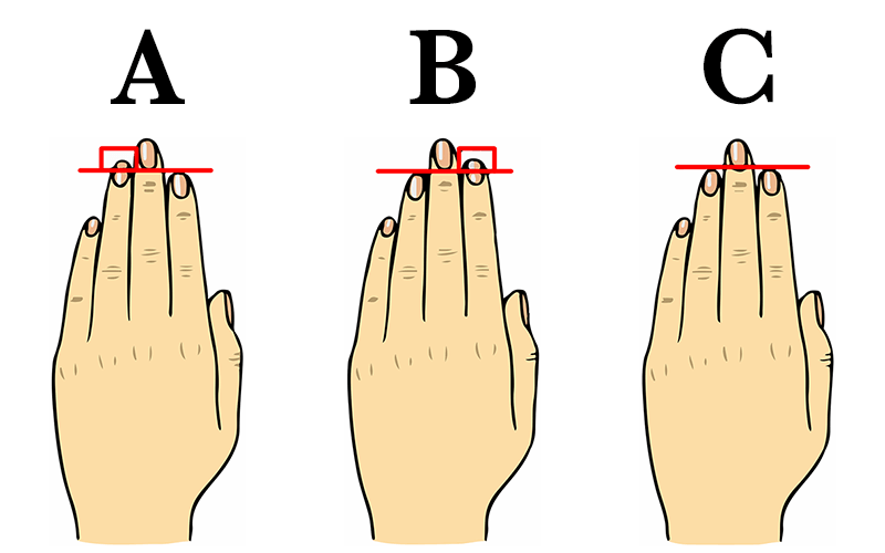 délka prstů