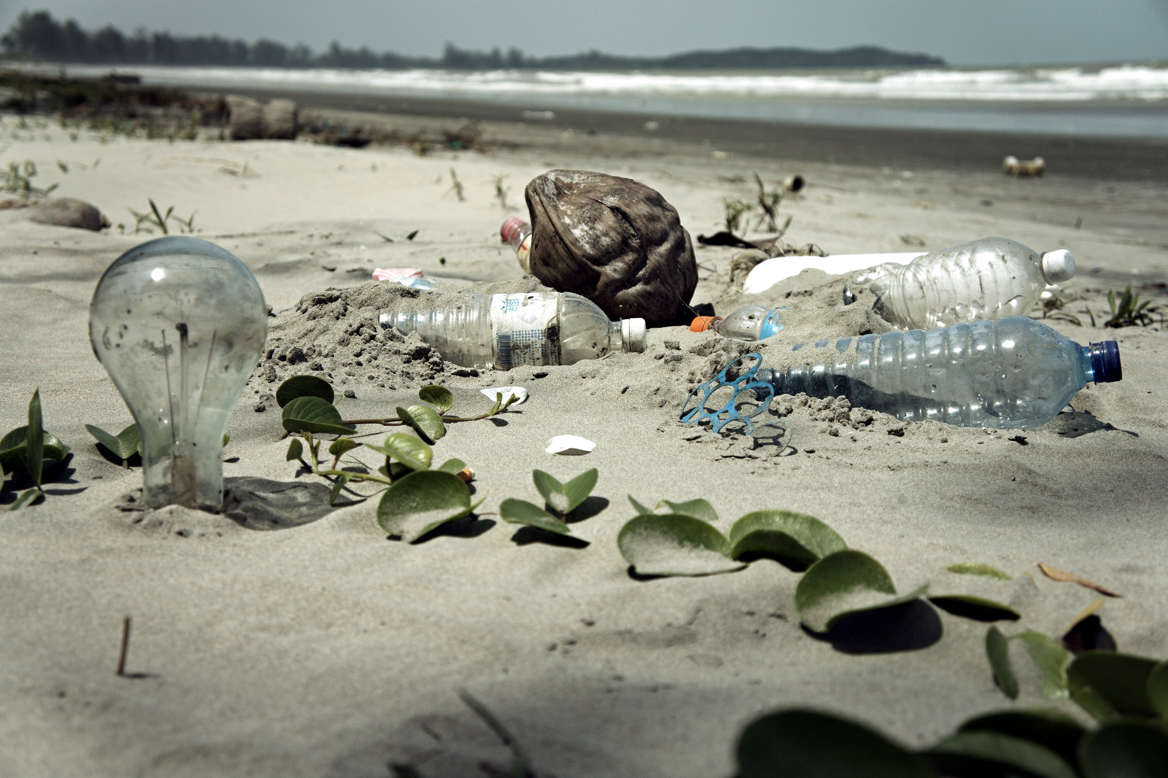 К чему приводит загрязнение окружающей среды. Загрязнение окружающей среды. Человек загрязняет природу. Пластик в природе.