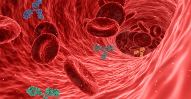 imunita-krvinky