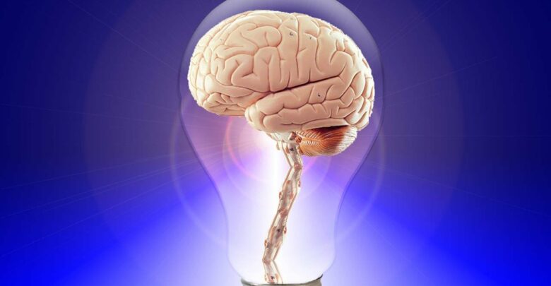 Mozek v žárovce