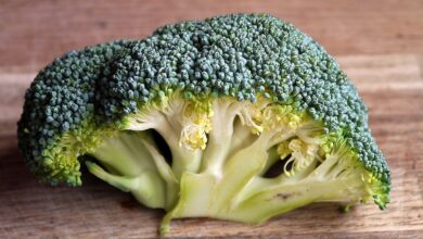 brokolice-zelenina-bilkoviny