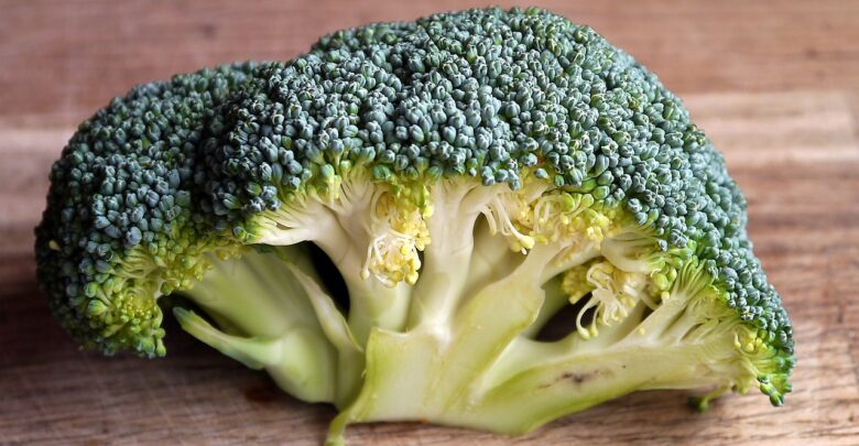 brokolice-zelenina-bilkoviny