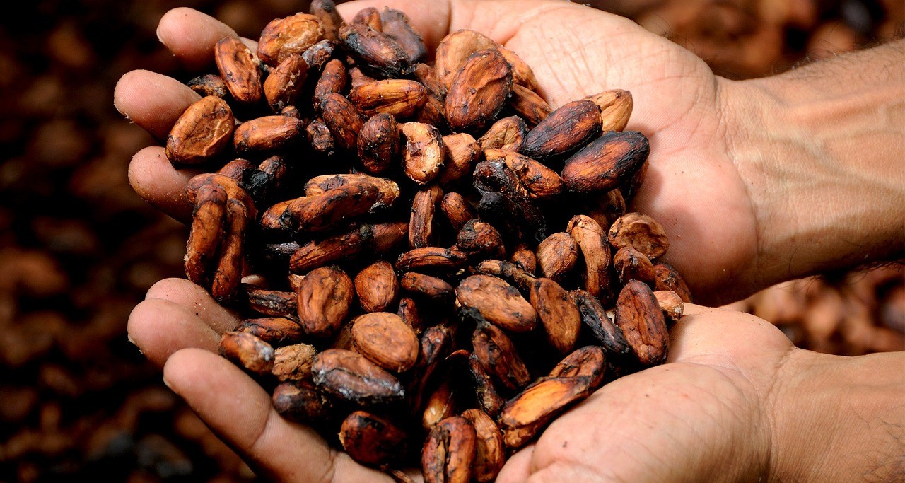 Vzniká lisováním rozdrcených pražených kakaových bobů