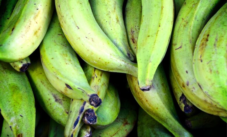 Zelených banánů se nebojte.